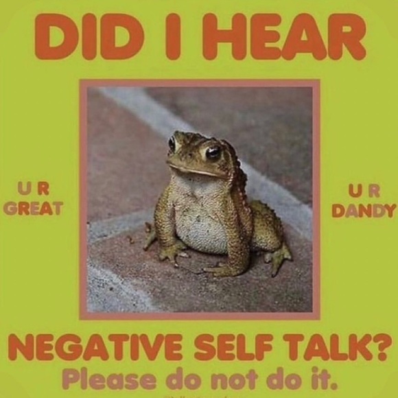 Meet your Posher, Ari - Picture 6 of 6